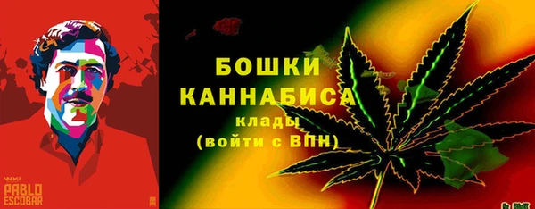 ALPHA PVP Белокуриха