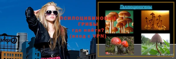 гидра Белоозёрский