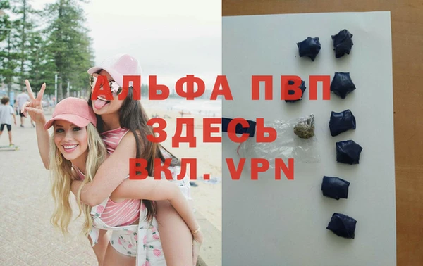 гидра Белоозёрский