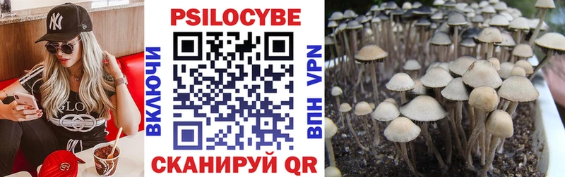 Галлюциногенные грибы GOLDEN TEACHER  купить закладку  Ершов 